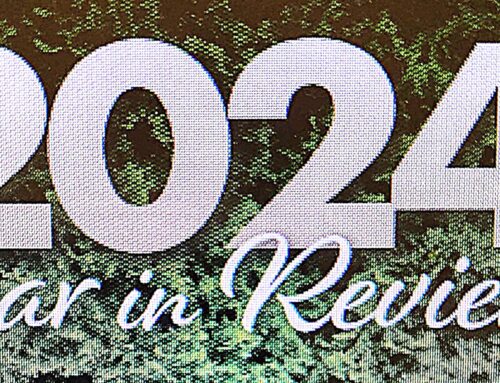 2024 Year In Review